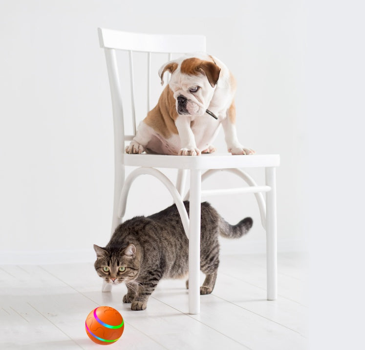 Interactive Smart Cat Ball (Self-Rotating Toy)